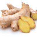 ขิง (Ginger)