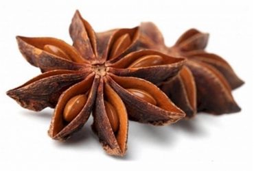 โป๊ยกั๊ก (Chinese Star Anise)