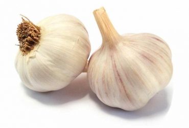 กระเทียม (Garlic)