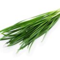 กุยช่าย (Chives)