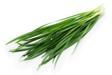 กุยช่าย (Chives)