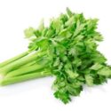 ขึ้นฉ่าย (Celery)