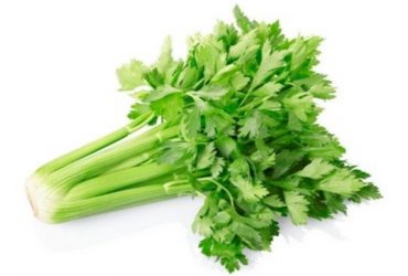 ขึ้นฉ่าย (Celery)