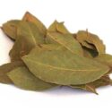 ใบกระวาน (Bay Leaves)